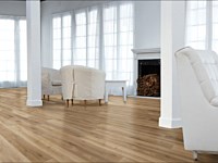 Contemporary Morseca